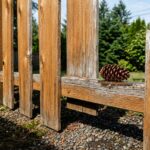 cedar fence longevity expectations
